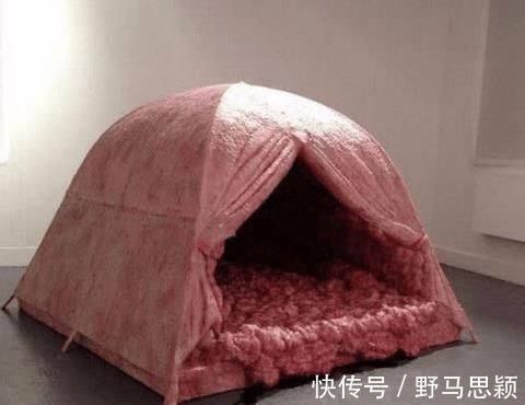 帐篷|世界“最恐怖”的帐篷， 睡一晚可获7万奖金， 至无人能挑战成功