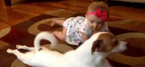 姿势|越“爬”越聪明，爬行敏感期错过很可惜！5种姿势助力宝宝学爬行