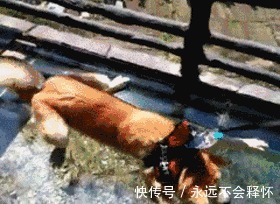 |搞笑GIF趣图:今天去相亲,对方一直玩手机,我还有戏吗?