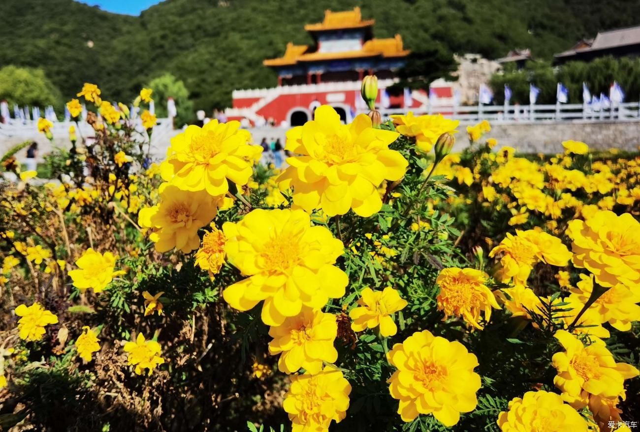 中年|【爱卡踏青季】早知有盘山，何必下江南！盘山游记·避坑攻略！