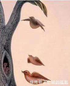  痴呆症|大脑健康测试图片上有一个女人，倘若你能发现，那么大脑很健康