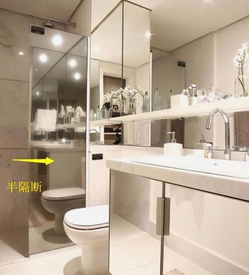镜面|3㎡卫生间不走寻常路,做成这种隔断,一物两用,比10㎡还大