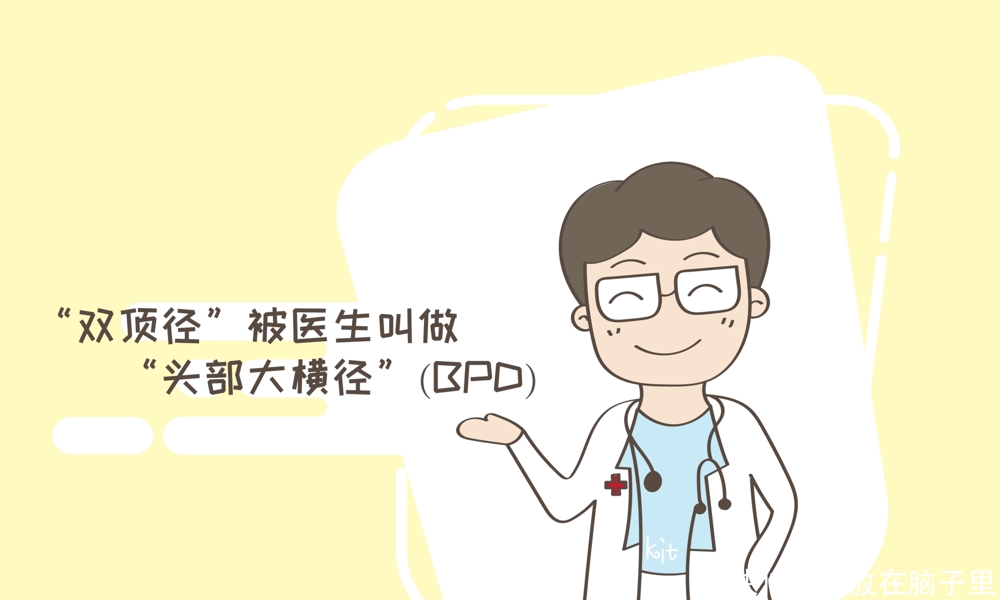 哭笑不得|什么叫双顶径？孕妈的“十万个为什么”，让医生哭笑不得