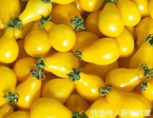 前列腺炎|此物是前列腺炎“克星”,男人尽量多吃,消炎抗菌,保护前列腺