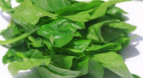 寒性食物|人到中年，3种食物经常吃，排毒消脂，抗衰老，增强抵抗力