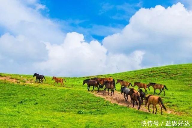 伊犁哈萨克自治州|新疆最美的草原，景色好看的一塌糊涂你去过几个