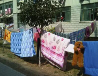 拍打|看完这个才知道,搞半天原来这么多年我们都晒错被子了!大开眼界!