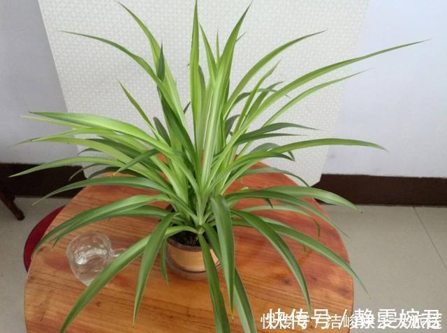 通风|新房装修完通风半年就能住吗听专业人一分析，我就不心急入住了