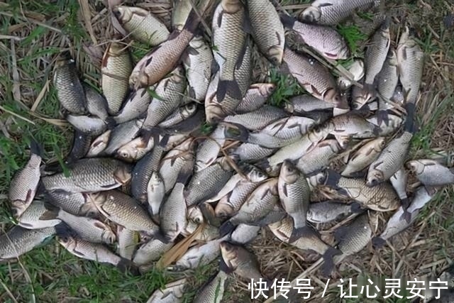 气温|冬季钓鱼,远离这三种钓位,避开这三种天气,天气再冷也有好收获