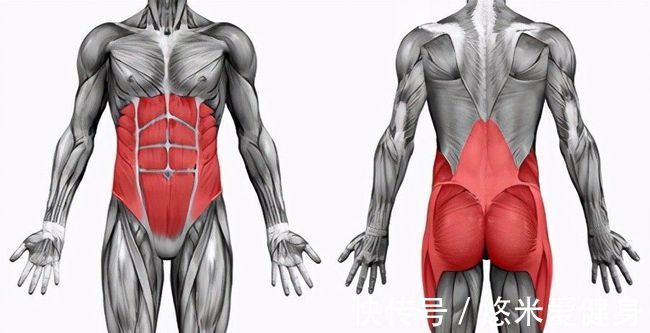 肌群|最容易被忽视的“核心肌群”，做好4个动作，快速增强核心力量