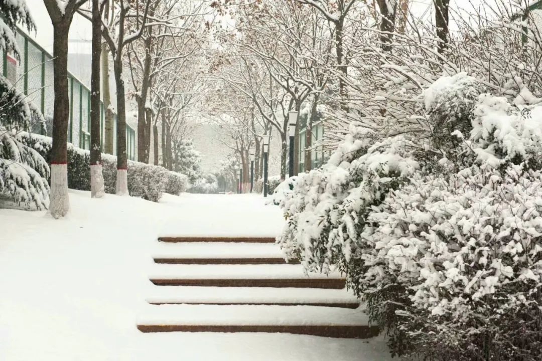 冰雪|风雪中，娄星区人民医院暖心的一幕幕……