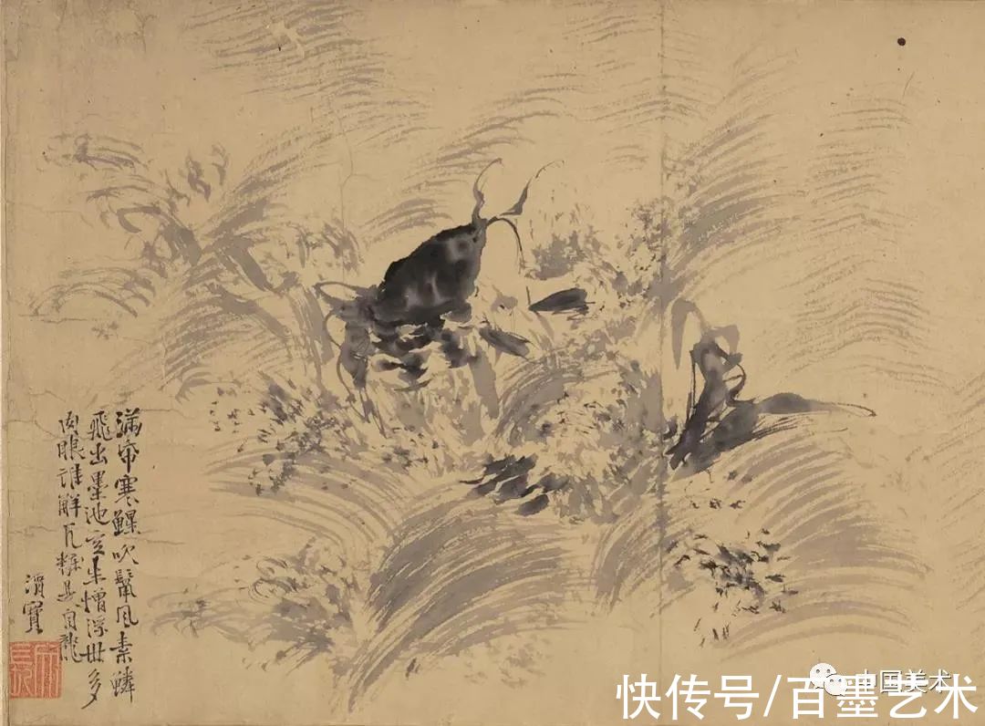 明朝@青藤白阳:明朝花鸟两大高峰