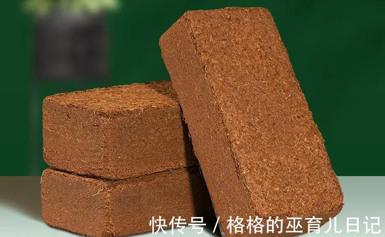 新手养花须知,这种土透气又保水,还纯天然