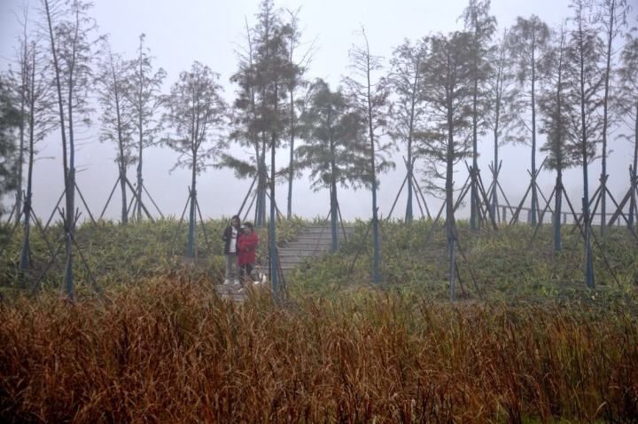 冬日|冬日练江河烟雨朦胧别样美