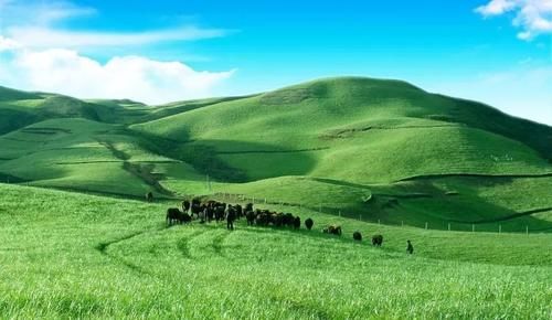 马赛克|到曲靖旅游，这9大独具魅力的景点不容错过，让你领略云南风情