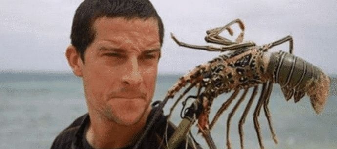 荒野求生|为什么贝爷不愿再录《荒野求生》了解那次意外后就明白了