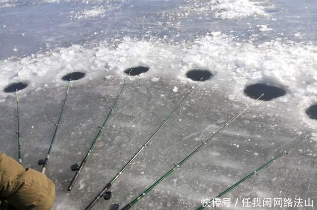黄金|冬季野钓,不用找到黄金钓点,也能有好鱼获