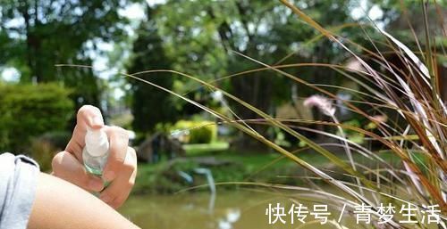 好处会|不管男女，每晚睡前用风油精涂抹肚脐，第2天好处会不请自来