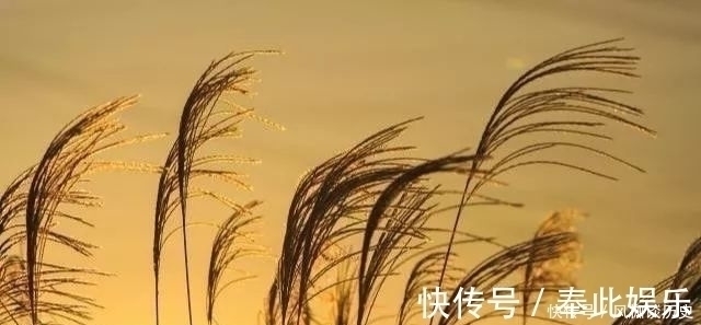 真言#多少人败在不会处理人际关系!修炼曾国藩5字真言,人生越来越顺