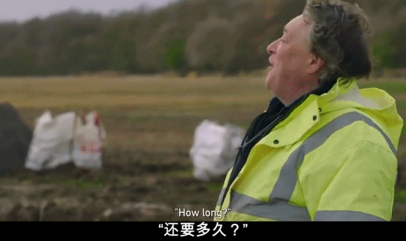 養(yǎng)羊|9.6分，這節(jié)目可把大明星虐爽了