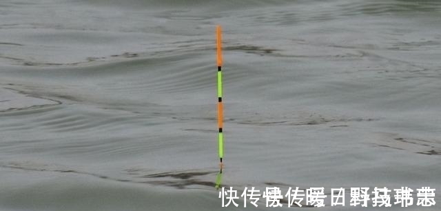 鱼漂|有口提竿空口无鱼，这三个招数，空竿马上变实口
