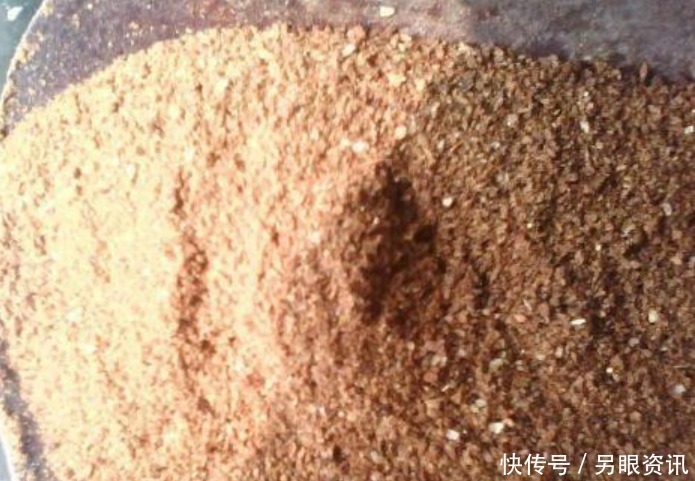 窍门|教你2招,自制磷钾肥,肥效是磷酸二氢钾的5倍,一起来学!