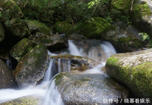 英语|女生理科，英语很好，可以报什么专业