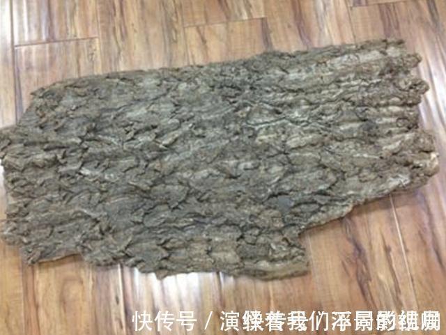 旺盛|虎皮兰、绿萝都喜欢“它”，花盆里“垫1块”，29天爆盆，旺盛！