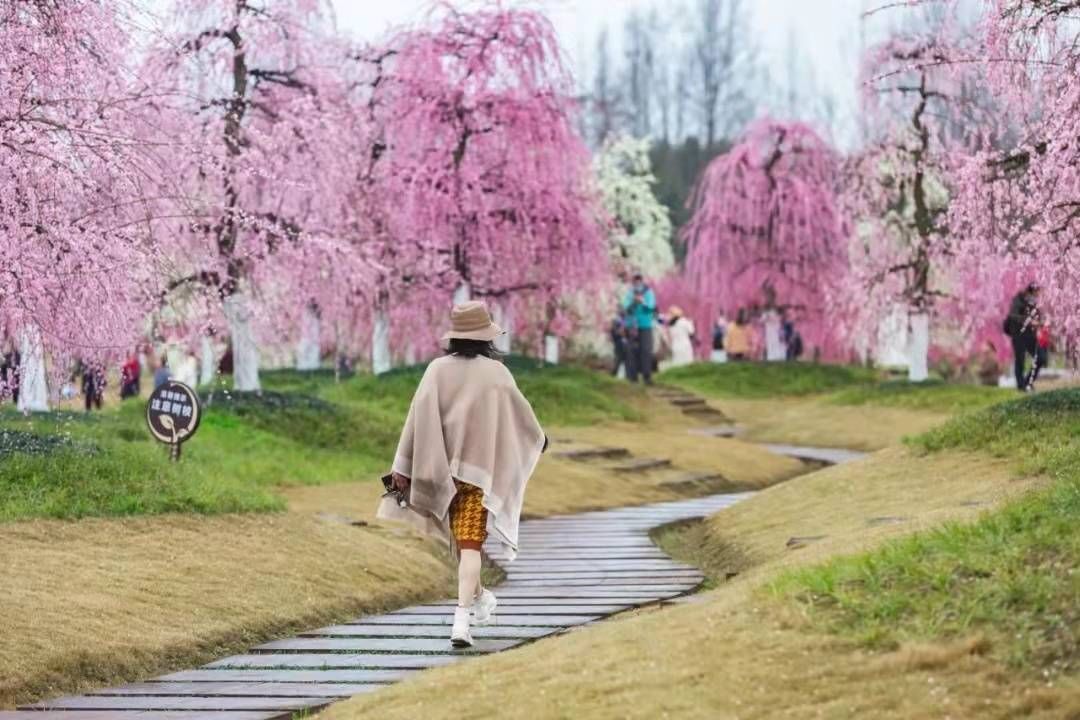 冬游|福利再上新！天台山、问花村、都江堰新濠温泉请你免费耍｜冬游四川上封面