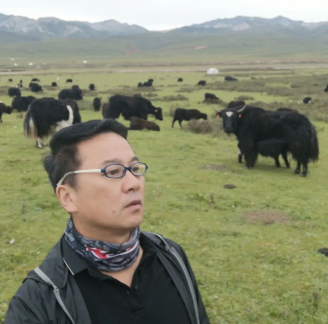  牛年大吉——泓青作品展|展讯 | 美术