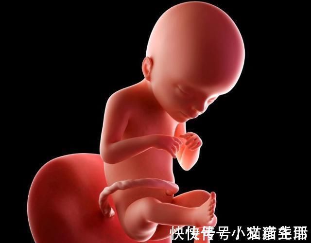 胎儿|怀孕1~40周，每周身体有何变化？送你一份“孕期清单表”！