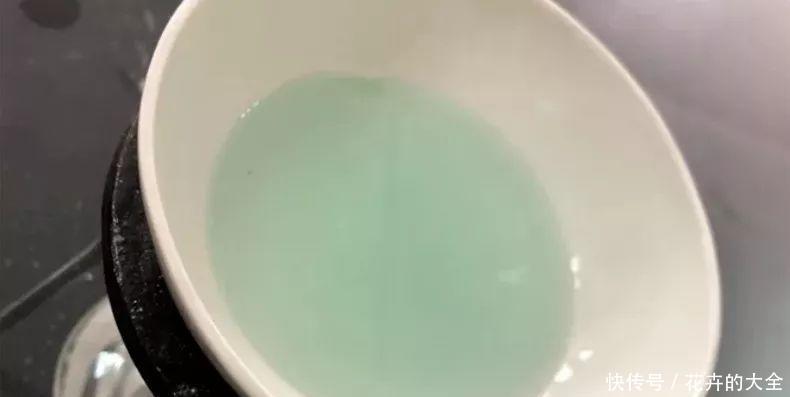 绿叶|红鹅掌养护好,绿叶出现焦边,开花数量少,老花农教你解决