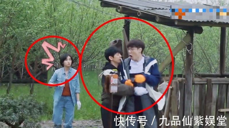 子枫妹妹|张艺兴被彩灯吓到大叫,转身扑进何炅怀里,子枫妹妹的表情成焦点