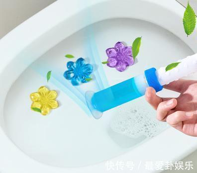洁厕灵|去闺蜜家借住，打开卫生间就呆了，设计得不错，拍下来回家照着学