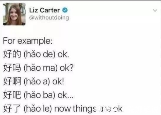 梗图&外国人吐槽学中文难度大,几张梗图看出真相,网友看完笑出鹅叫