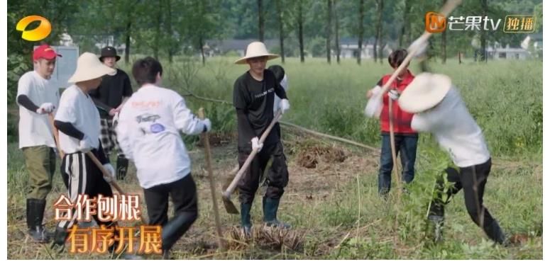 陈赫|《向往5》即将收官，节目组“硬推”流程引争议，张艺兴差评出现