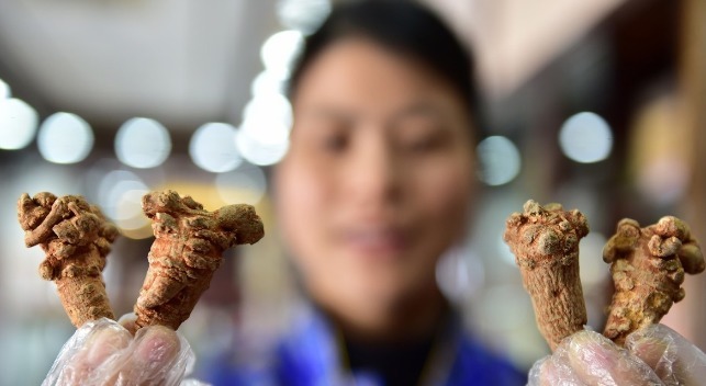 丹参|先打通心脑血管,再打通全身的血管,三味灵就是这么神奇