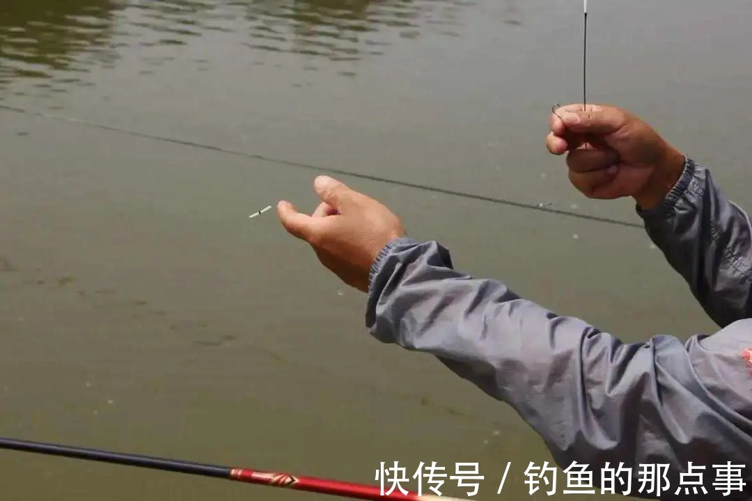 钓饵|野钓时,子线到底怎么选,才能符合实战需求?