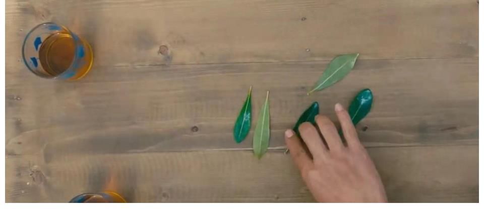 出场只有十分钟,网友直呼太出戏,李晨到底做错了啥?