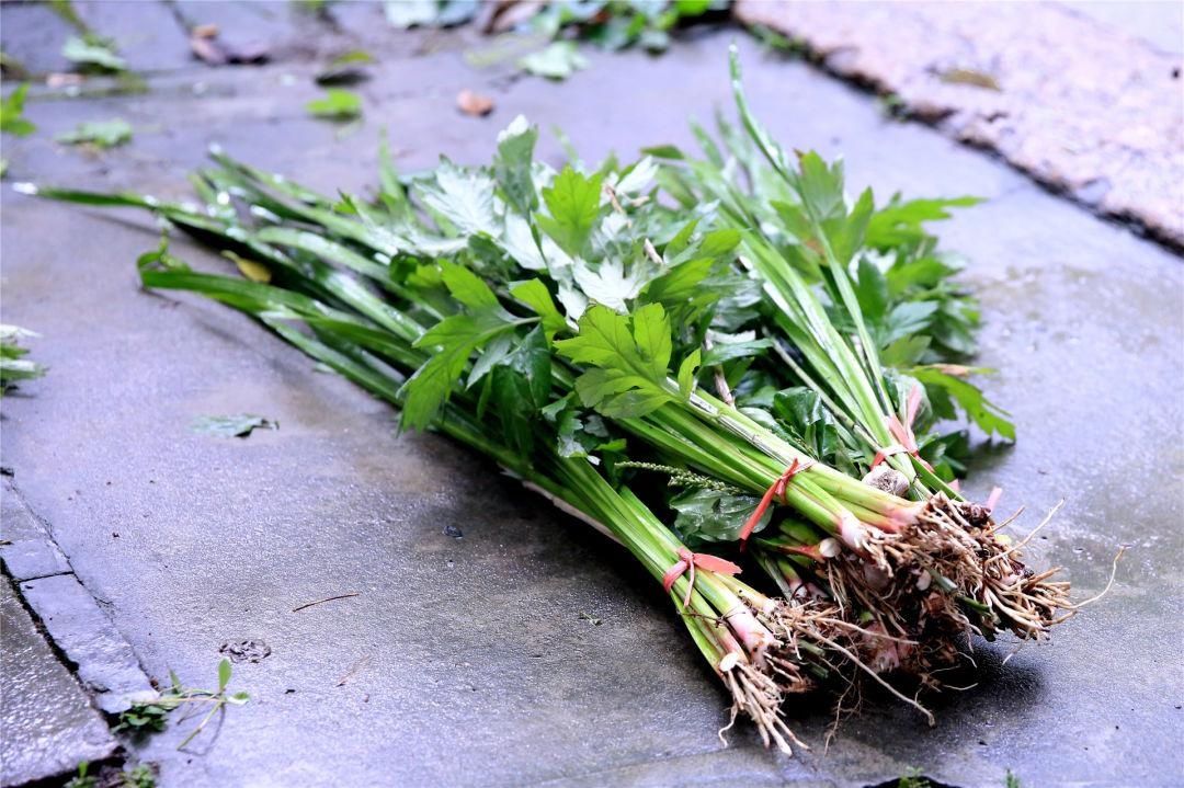 端午|端午习俗除了吃粽子,还有这个标准动作!