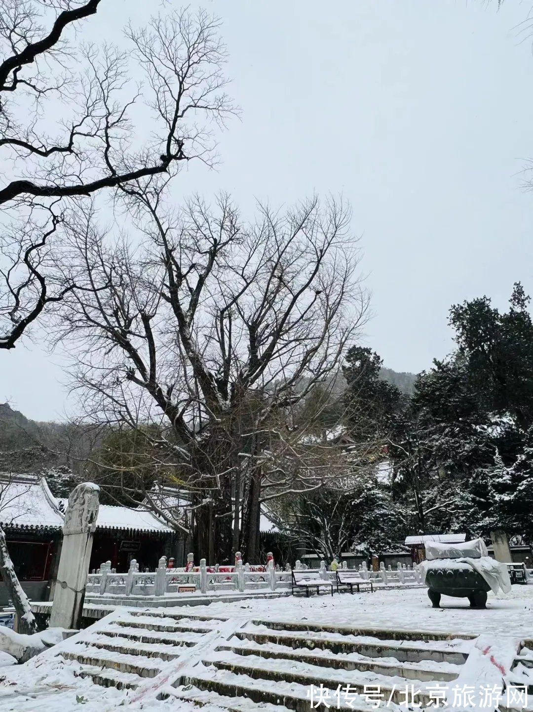 第一场雪|门城一夜雪，万山披银装！