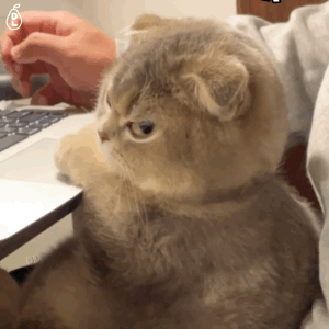 |搞笑表情包|来嘛~