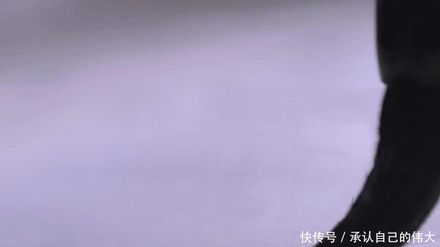 苏东坡|苏东坡为什么惹上“乌台诗案”?大难不死多亏了这位好友?