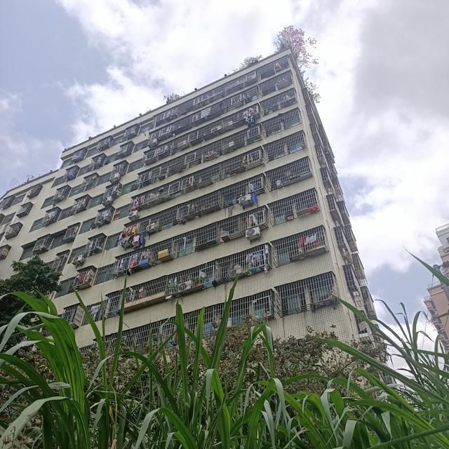 租客|深圳租客质疑房东涨租不合法，房东：我不强买强卖，你可以退房