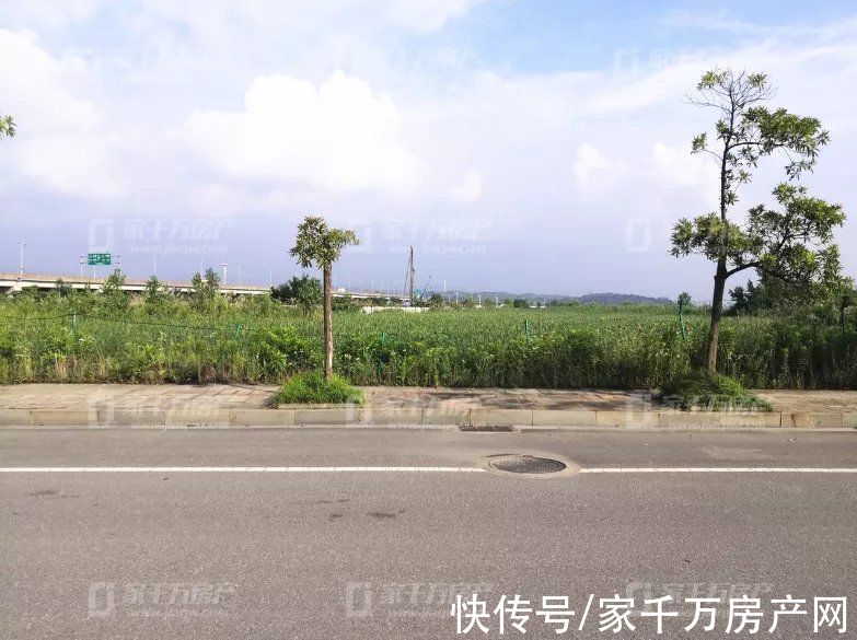 出让|引爆浔城！浔阳古城项目落锤！土拍6连击！揽狂8.47亿