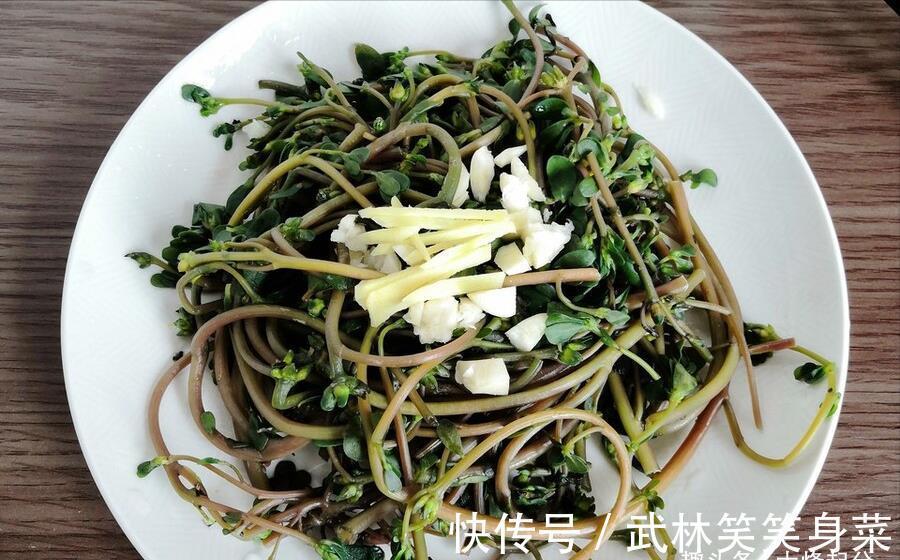 焯水|马齿苋,别再焯水排酸了,教你一招,鲜美好吃,不苦不涩不发酸