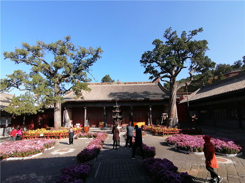 历史悠久广胜寺，美轮美奂飞虹塔，辛酸过往让人恨