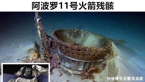 事物 8个让人们在海洋中所发现的,非常昂贵且罕见的事物