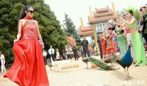 开屏|杨丽萍到公园偶遇孔雀,孔雀纷纷开屏迎接,万物皆有灵!