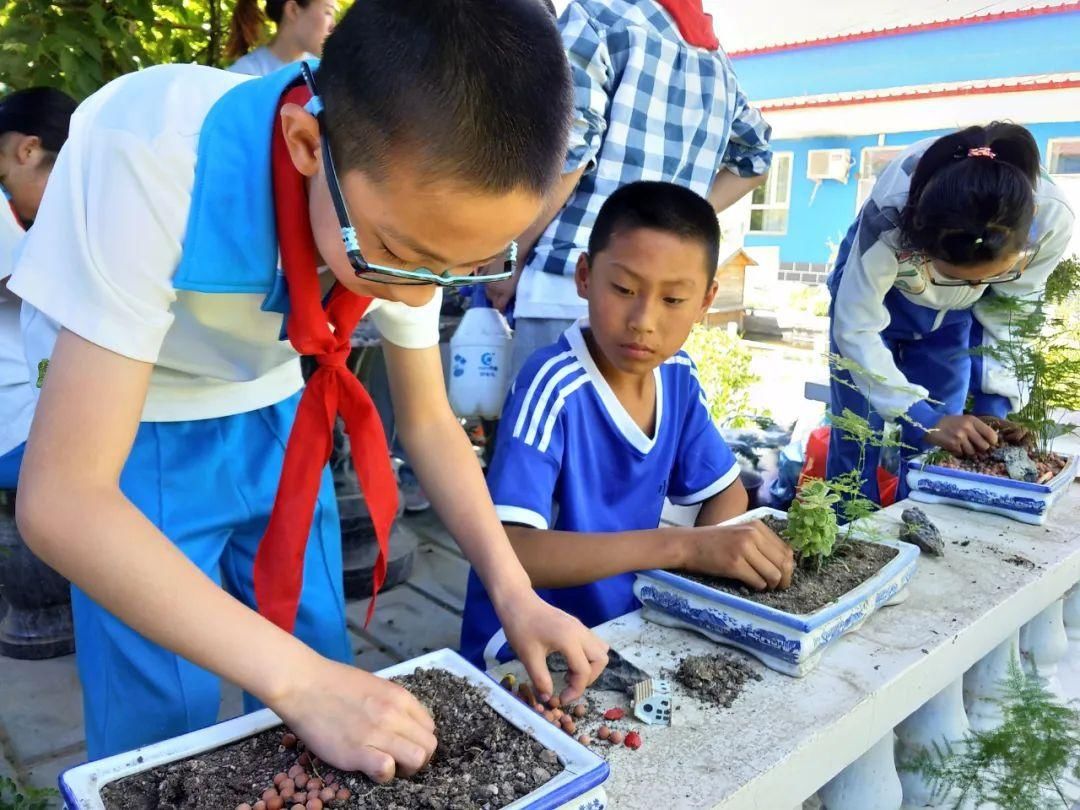 寓教于乐|【志愿服务我先行】小丰营小学：寓教于乐 服务社会